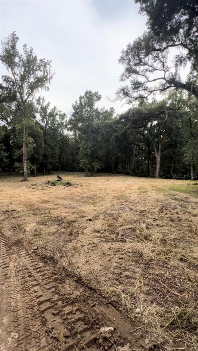 33234 CHIPCO RANCH RD, DADE CITY, FL, 33523