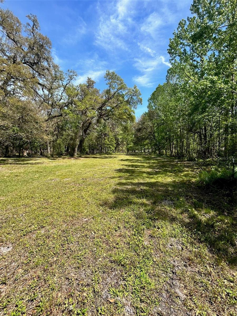 33234 CHIPCO RANCH RD, DADE CITY, FL, 33523