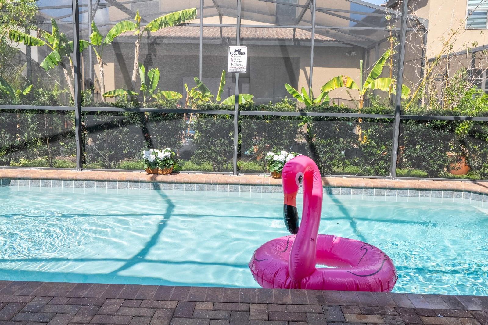 8877 BENGAL CT, KISSIMMEE, FL, 34747