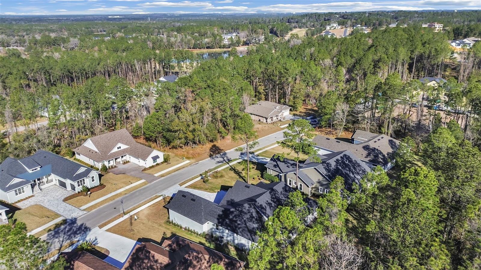 4507 MAJESTIC HILL LOOP, BROOKSVILLE, FL, 34601