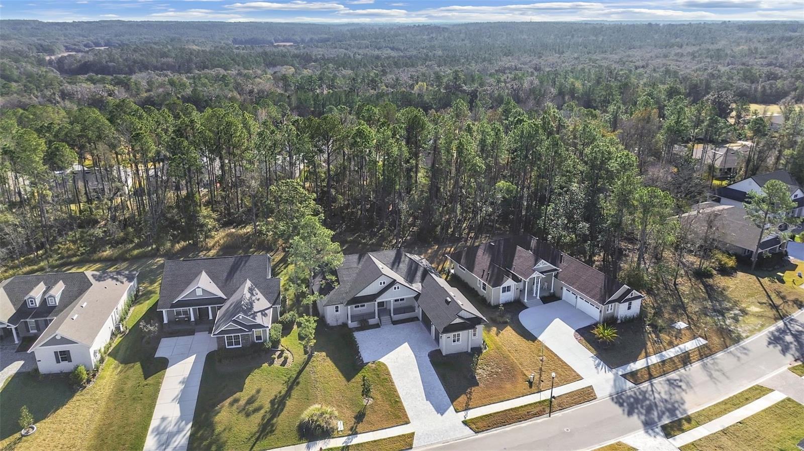 4507 MAJESTIC HILL LOOP, BROOKSVILLE, FL, 34601