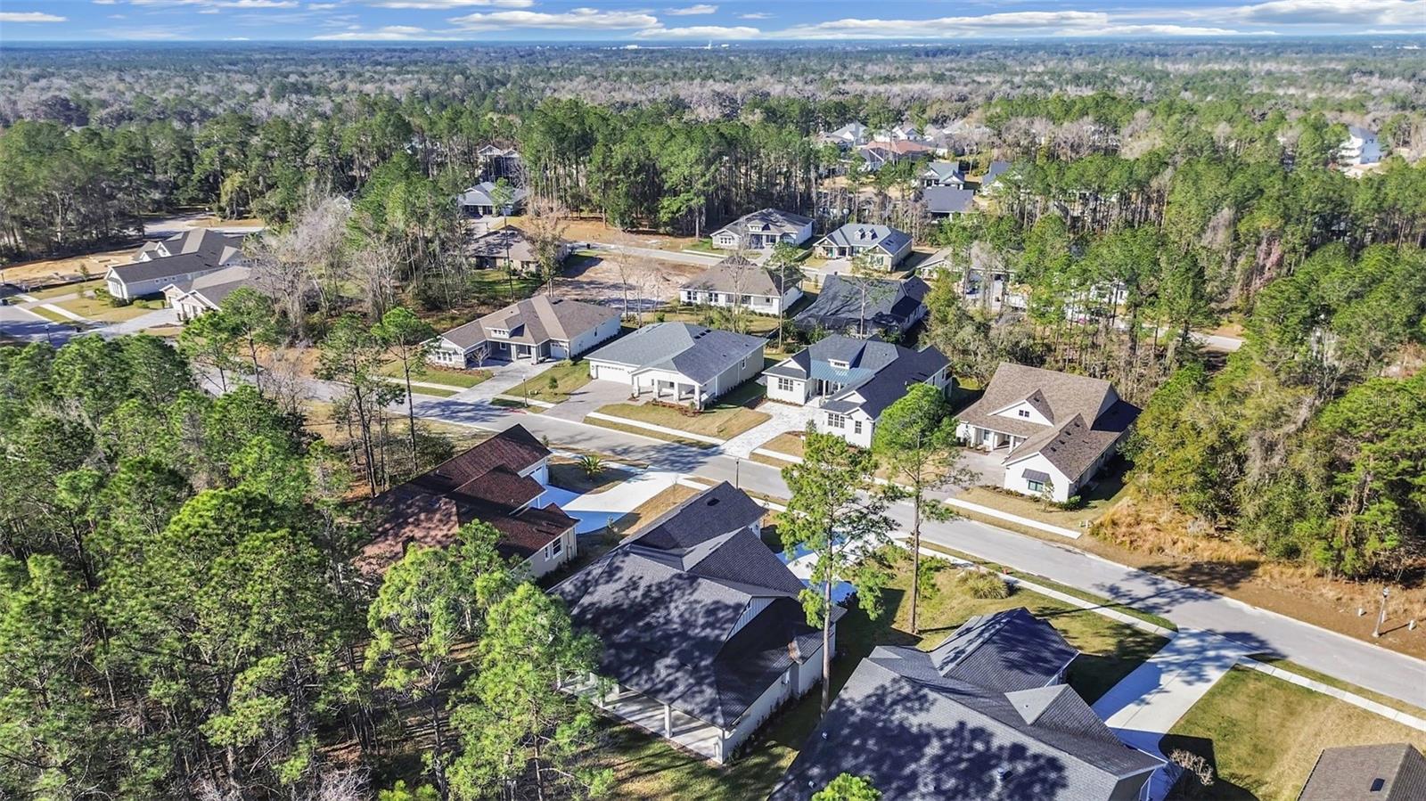 4507 MAJESTIC HILL LOOP, BROOKSVILLE, FL, 34601