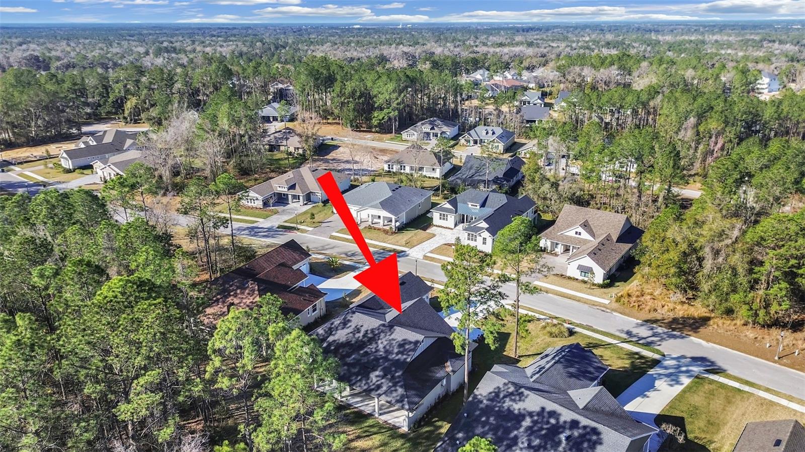 4507 MAJESTIC HILL LOOP, BROOKSVILLE, FL, 34601