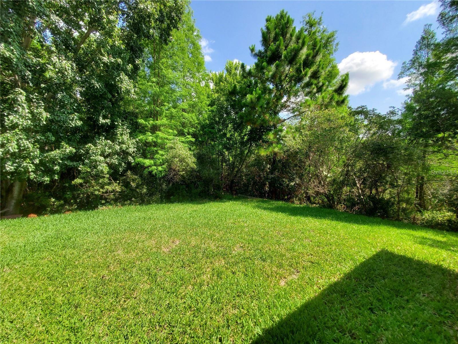 12825 CASTLEMAINE DR, TAMPA, FL, 33626