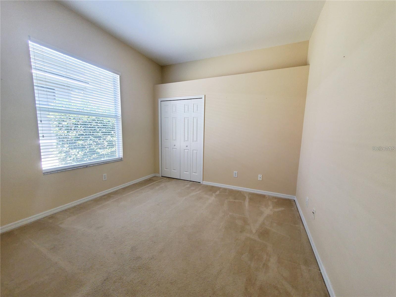 12825 CASTLEMAINE DR, TAMPA, FL, 33626