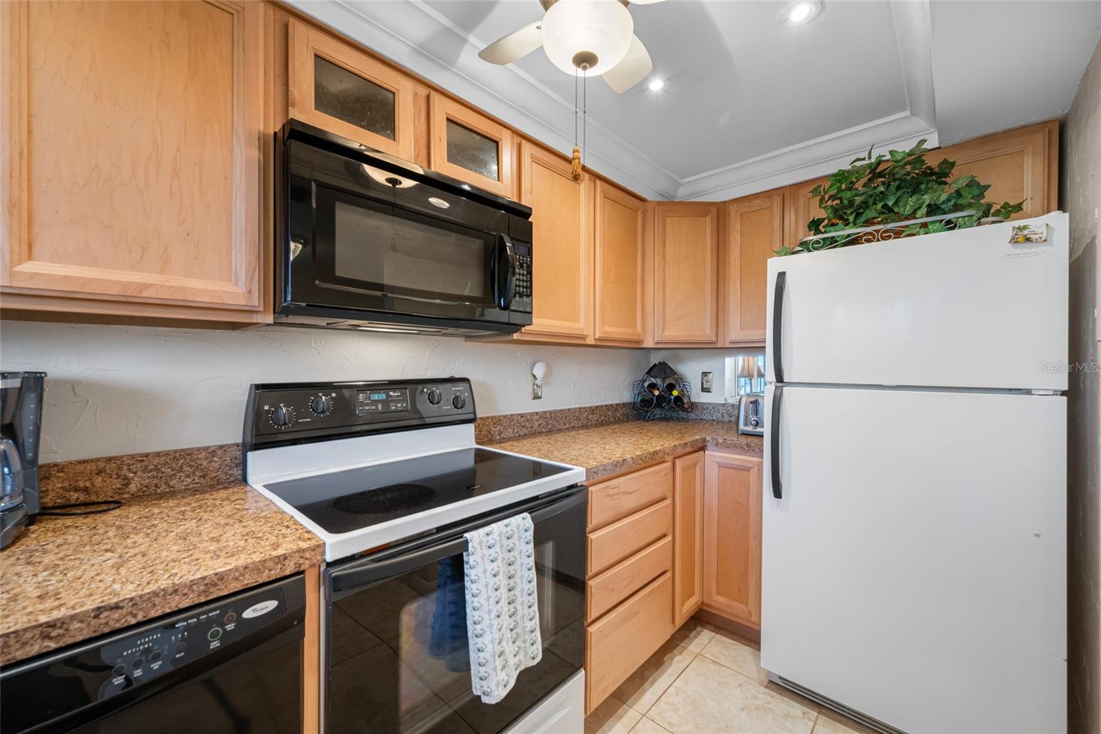 1243 S MARTIN LUTHER KING JR AVE #C505, CLEARWATER, FL, 33756