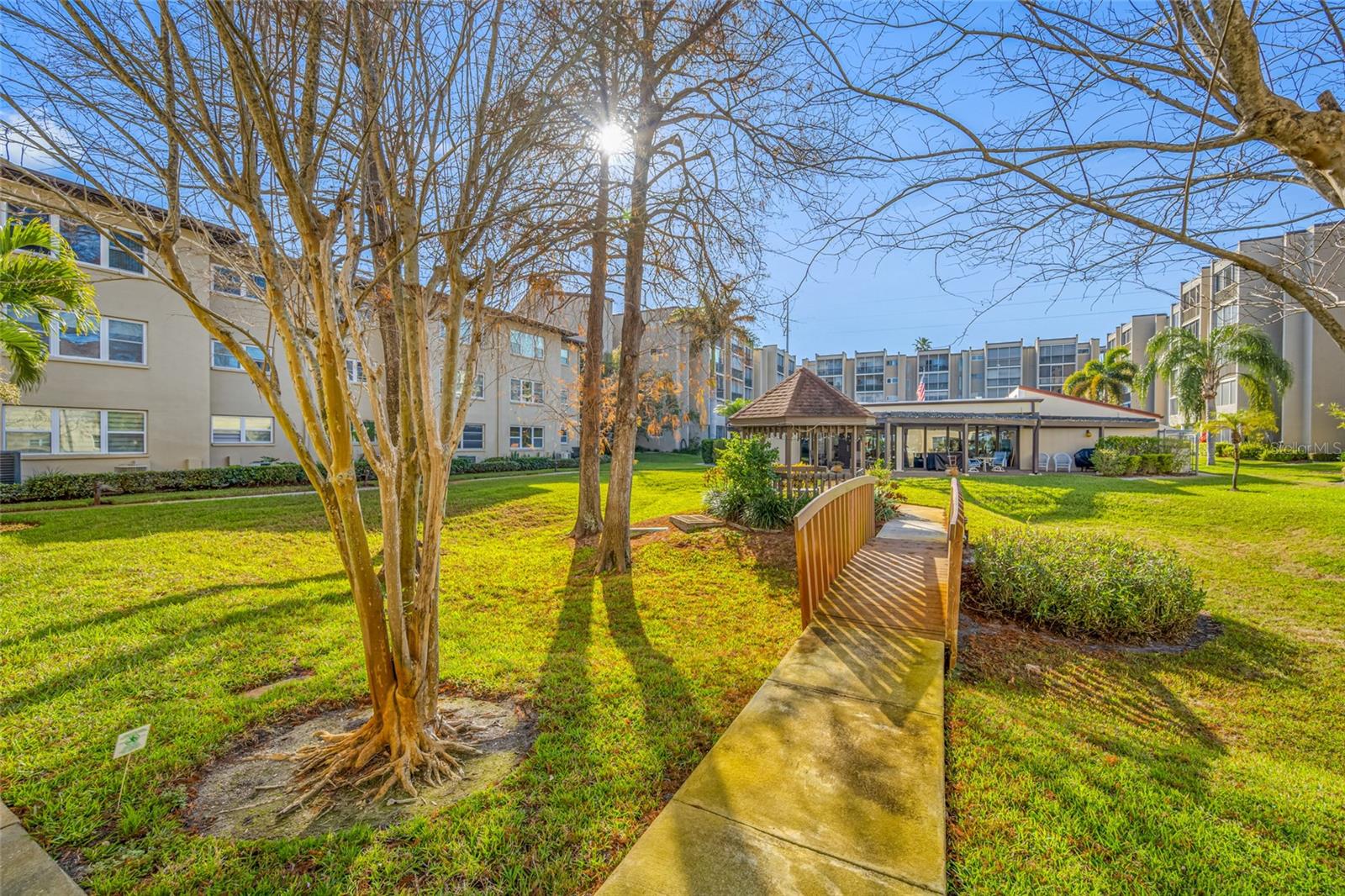 1243 S MARTIN LUTHER KING JR AVE #C505, CLEARWATER, FL, 33756