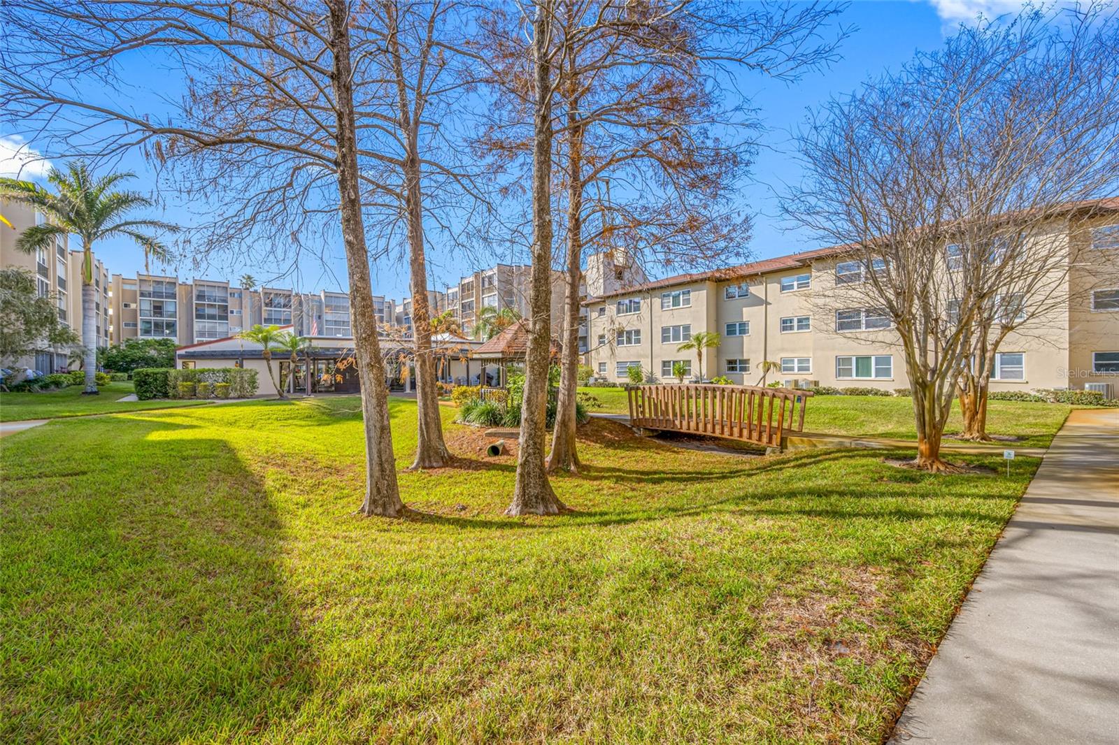 1243 S MARTIN LUTHER KING JR AVE #C505, CLEARWATER, FL, 33756