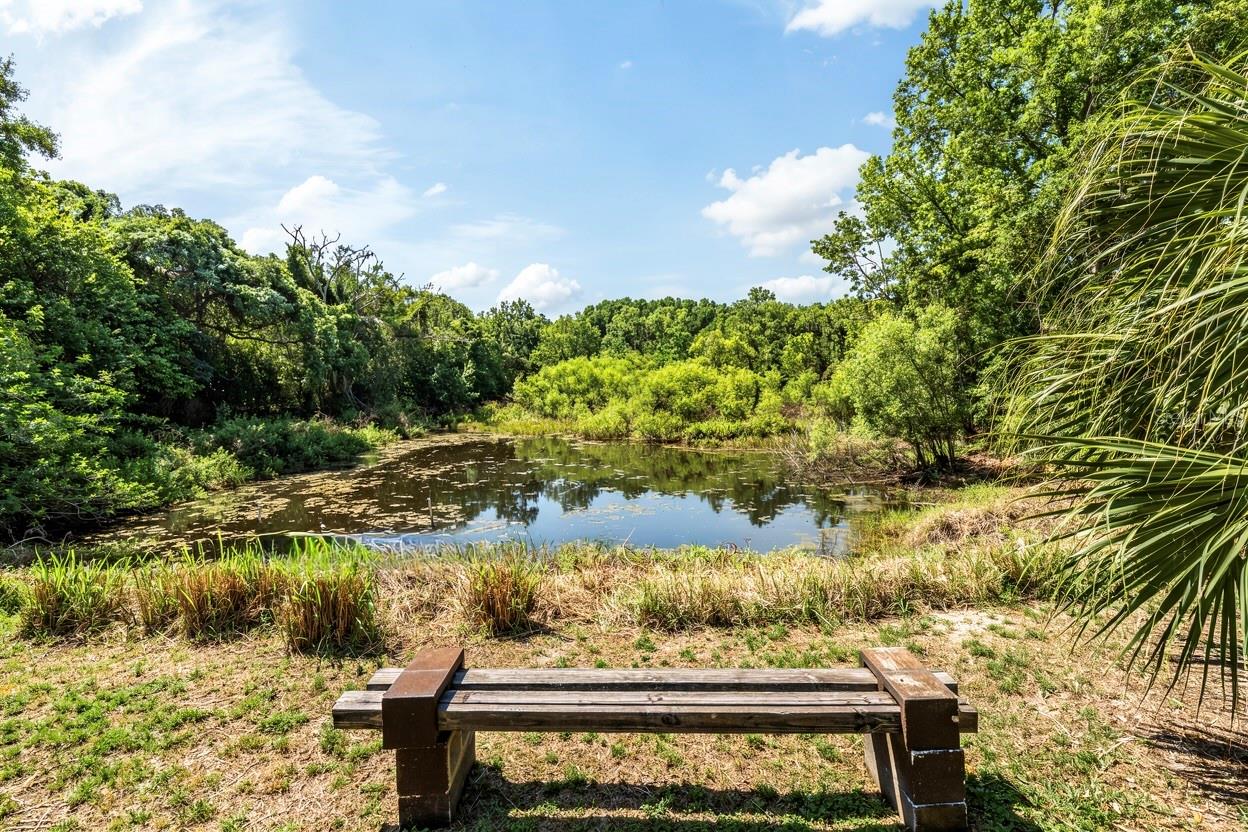 3304 MORAN RD, TAMPA, FL, 33618