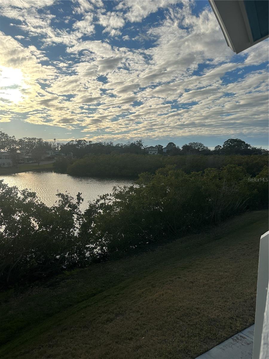 455 ALT 19 S #228, PALM HARBOR, FL, 34683