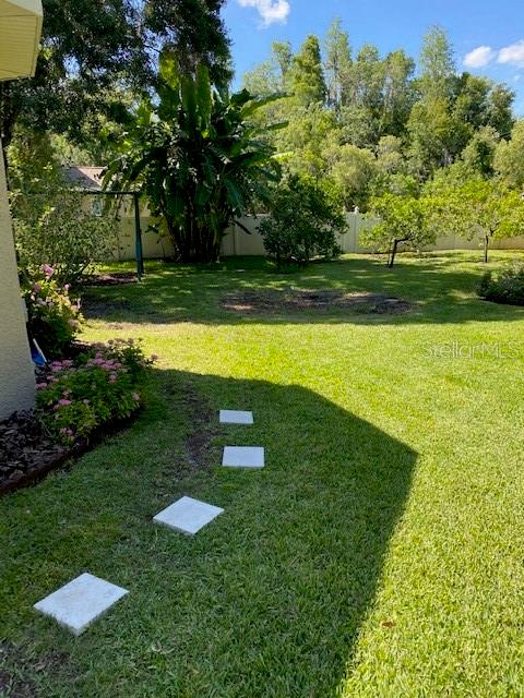 11615 RENAISSANCE VIEW CT, TAMPA, FL, 33626