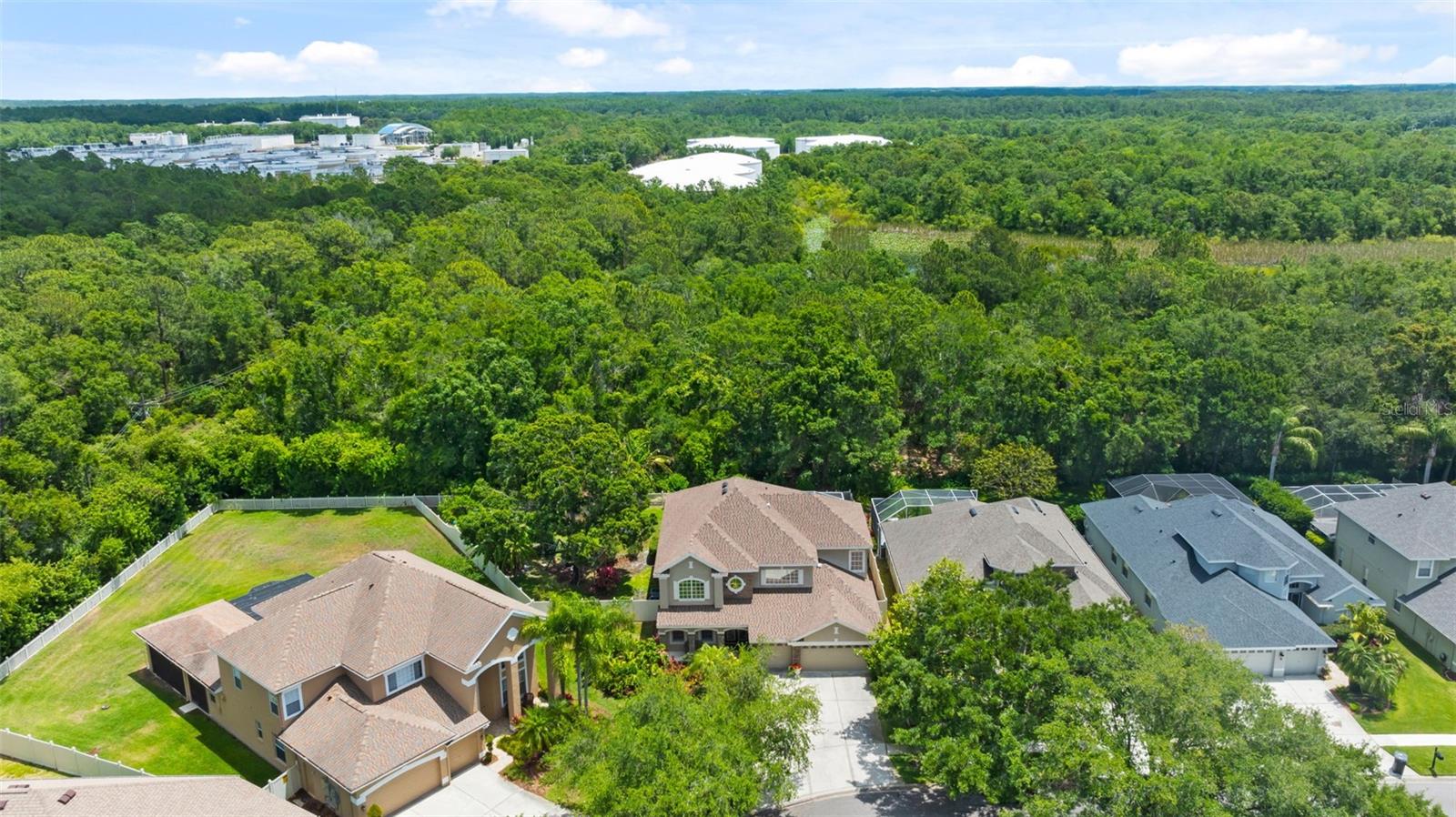 11615 RENAISSANCE VIEW CT, TAMPA, FL, 33626