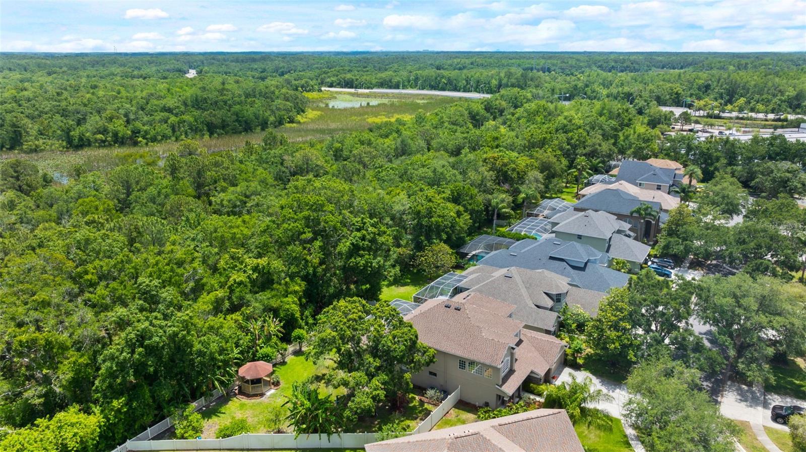 11615 RENAISSANCE VIEW CT, TAMPA, FL, 33626