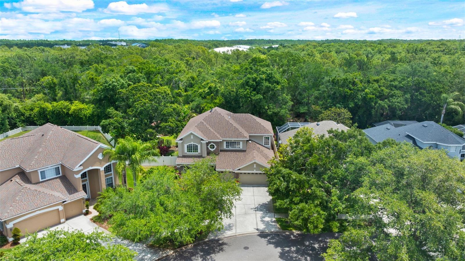 11615 RENAISSANCE VIEW CT, TAMPA, FL, 33626