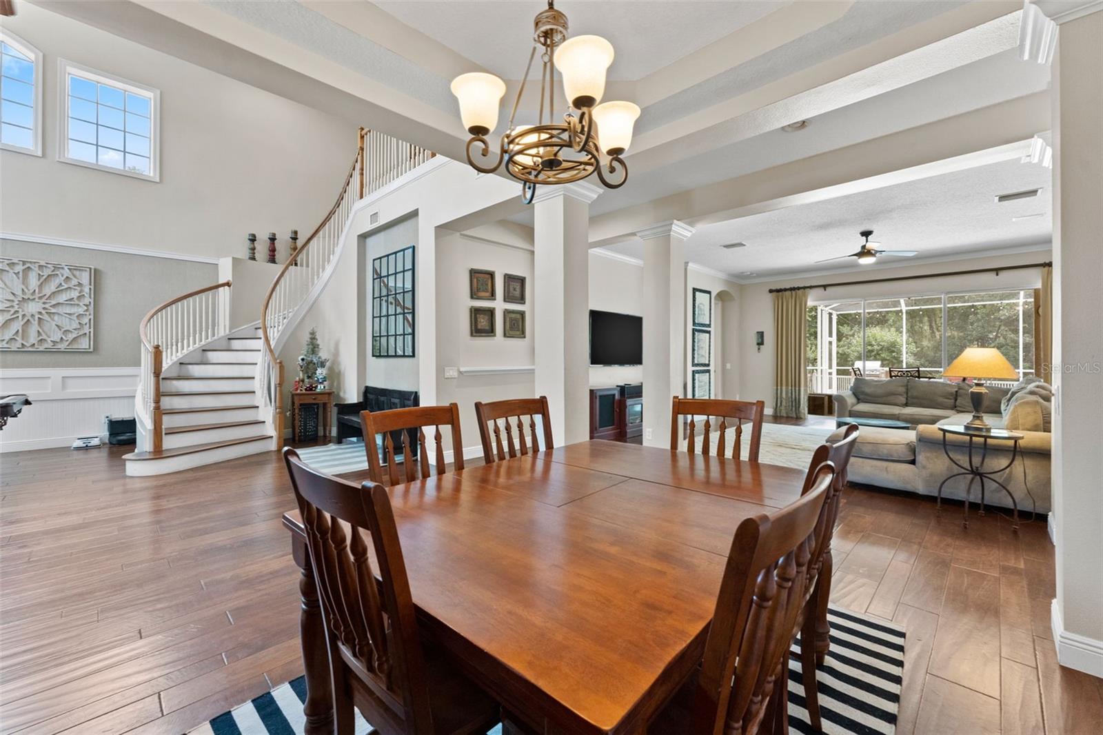 11615 RENAISSANCE VIEW CT, TAMPA, FL, 33626