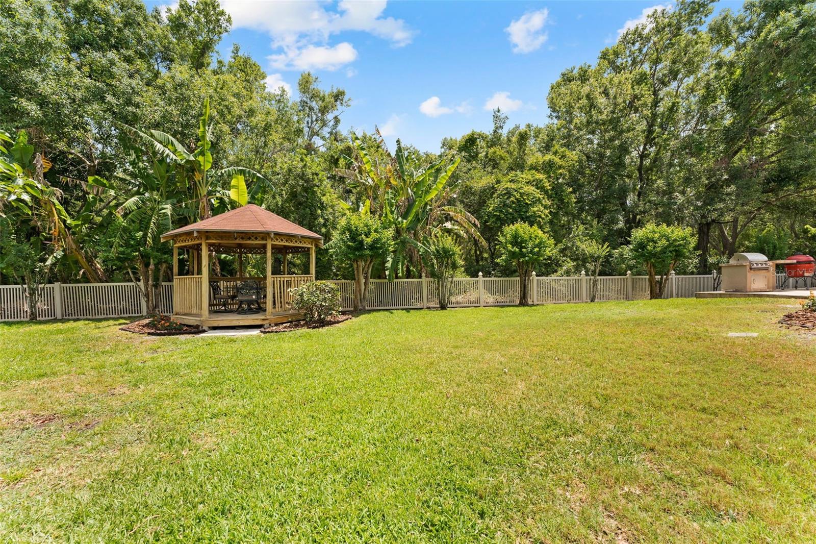 11615 RENAISSANCE VIEW CT, TAMPA, FL, 33626