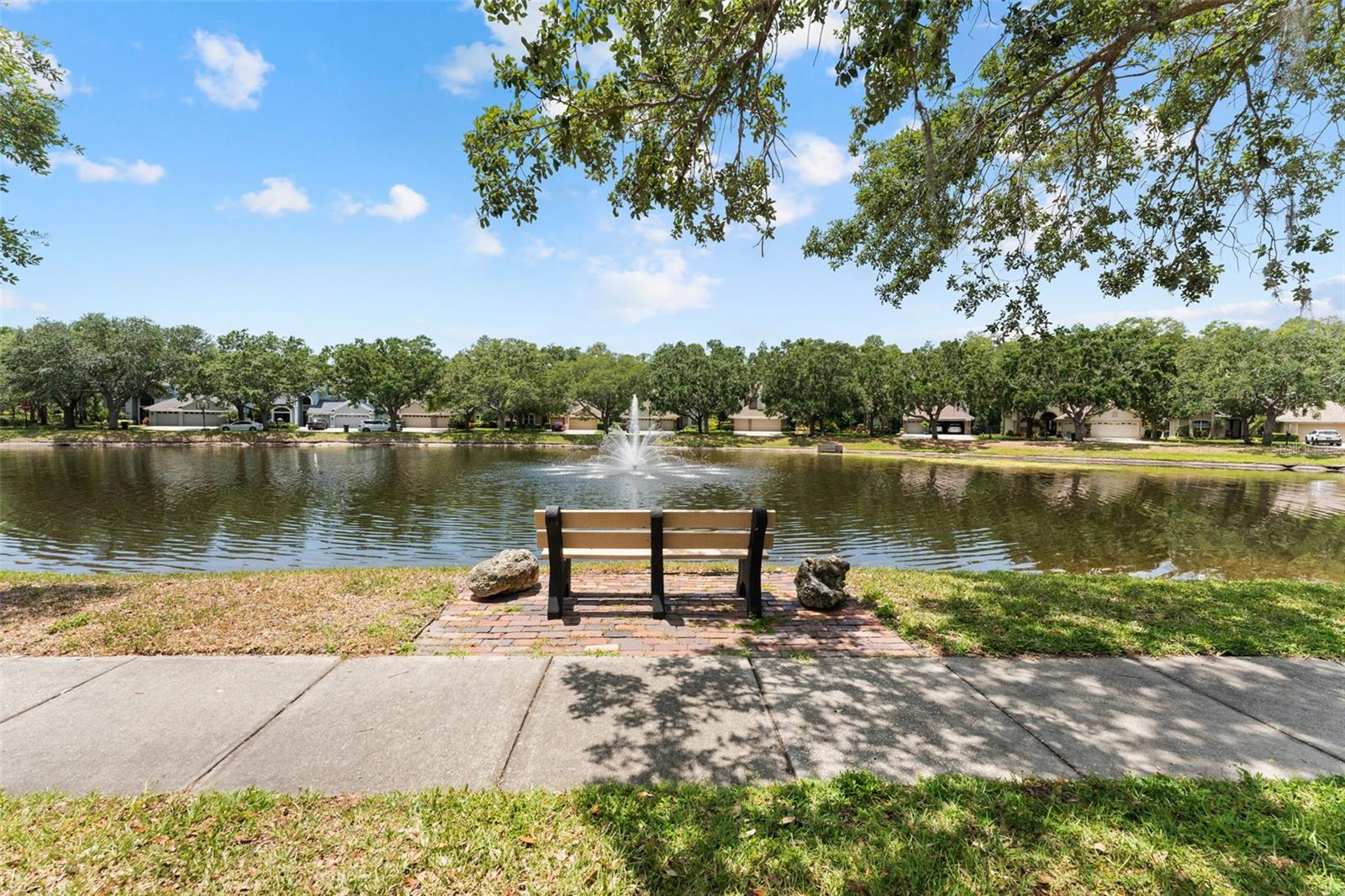 11615 RENAISSANCE VIEW CT, TAMPA, FL, 33626