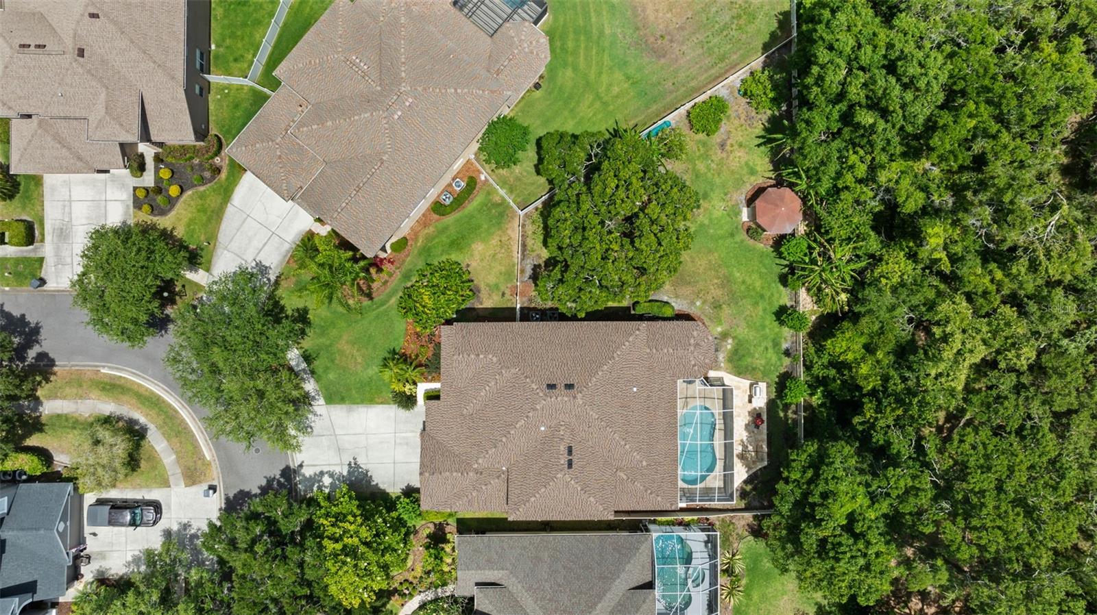 11615 RENAISSANCE VIEW CT, TAMPA, FL, 33626