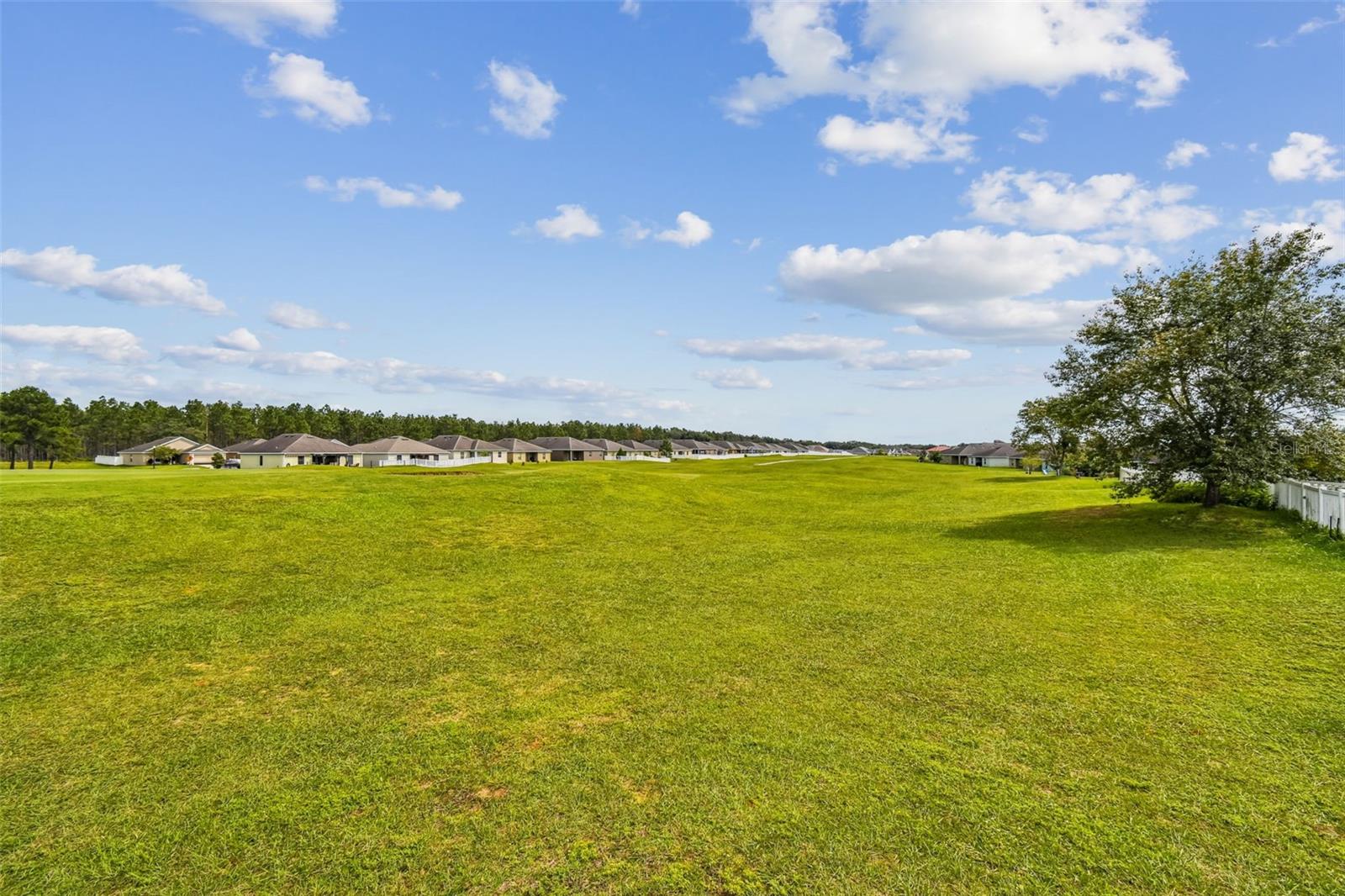 30821 WATER LILY DR, BROOKSVILLE, FL, 34602