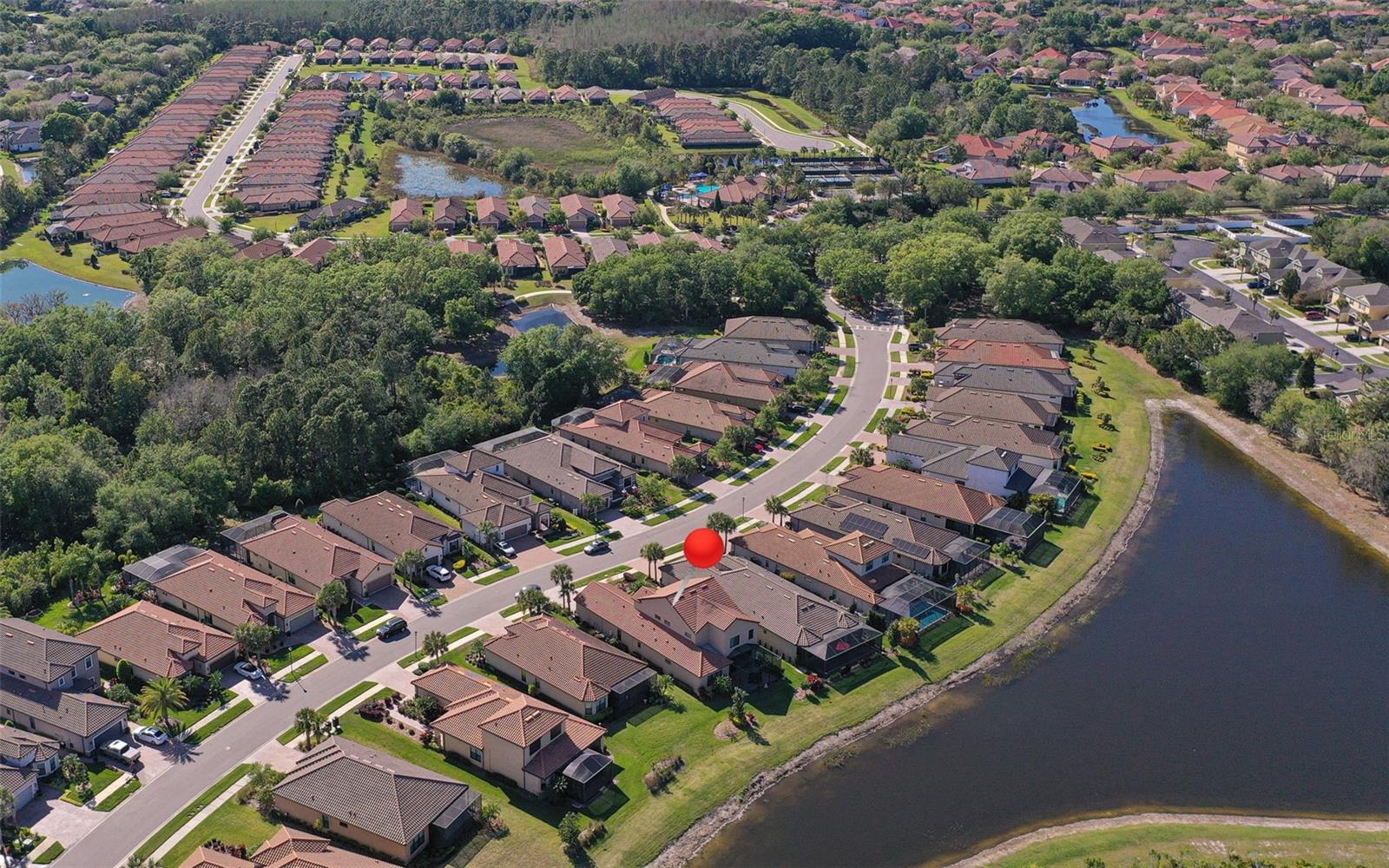 8530 GRAND ALBERATO RD, TAMPA, FL, 33647