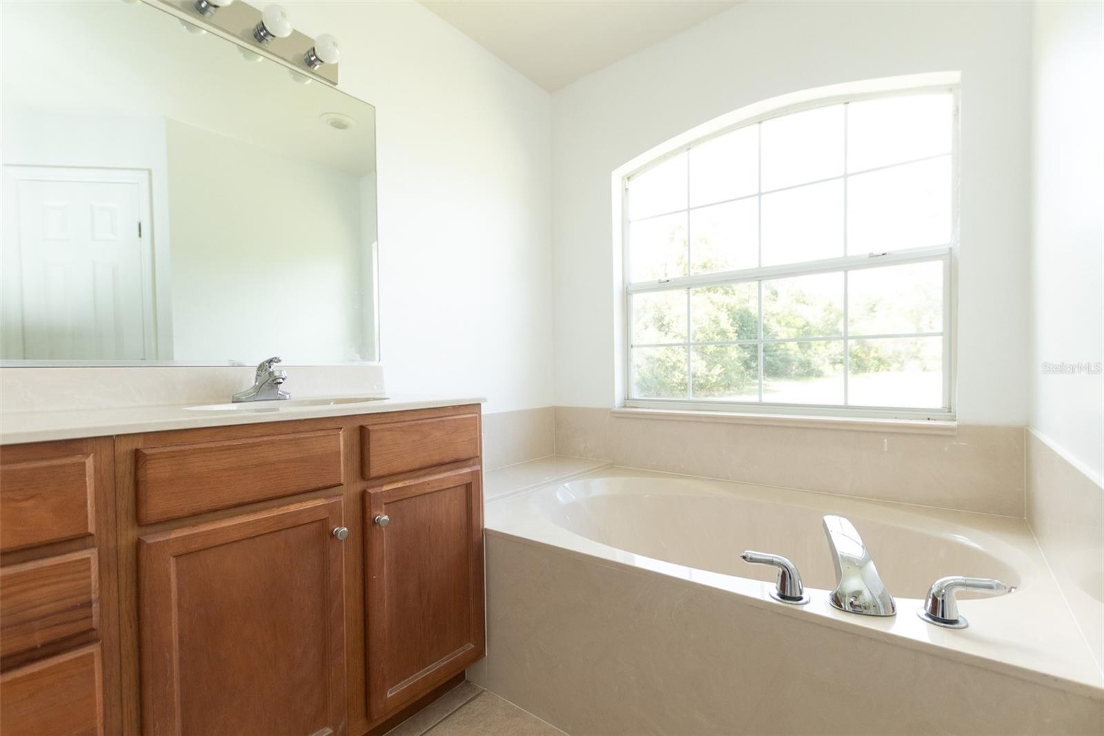 3858 SW 161ST ST, OCALA, FL, 34473