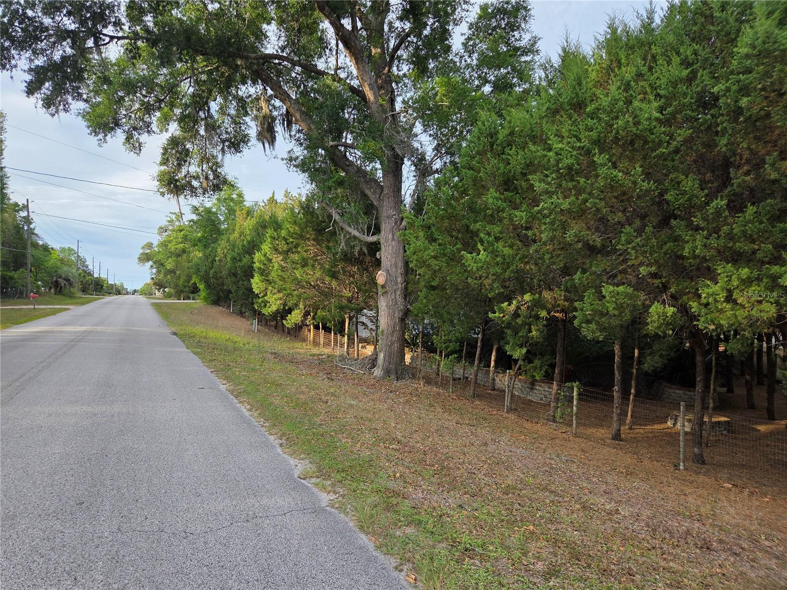 421 MARGARET ST, BRONSON, FL, 32621