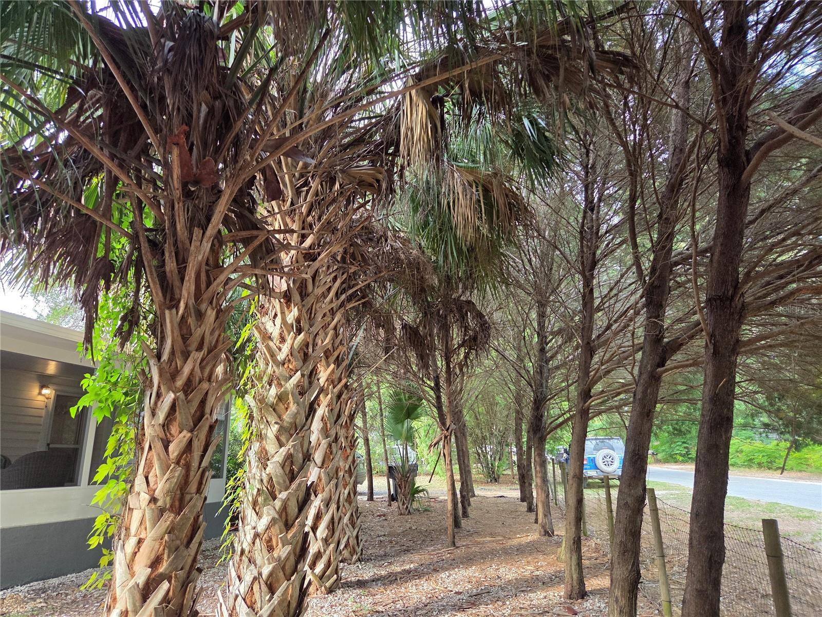 421 MARGARET ST, BRONSON, FL, 32621