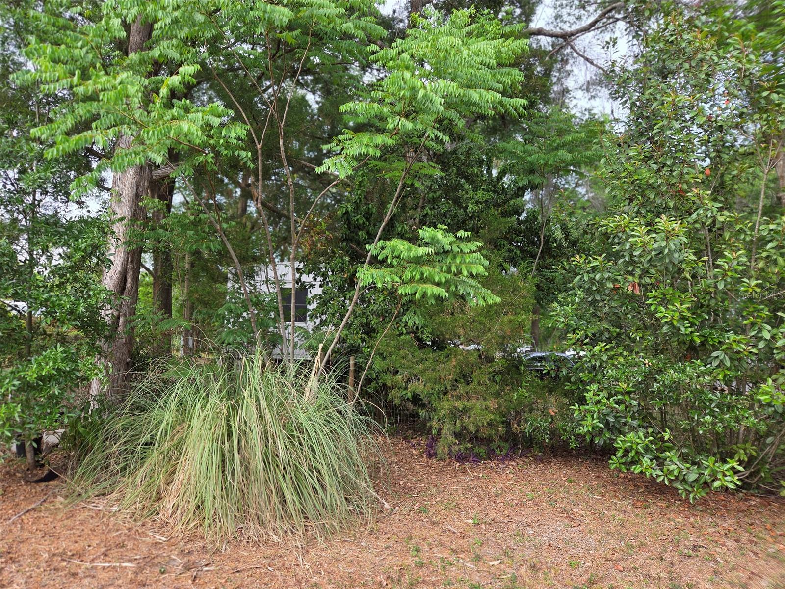 421 MARGARET ST, BRONSON, FL, 32621