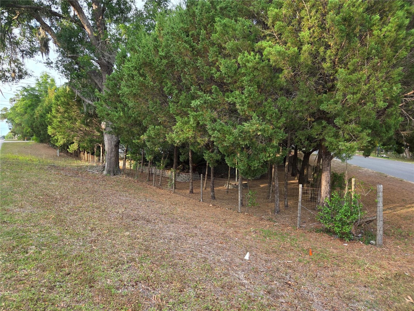 421 MARGARET ST, BRONSON, FL, 32621