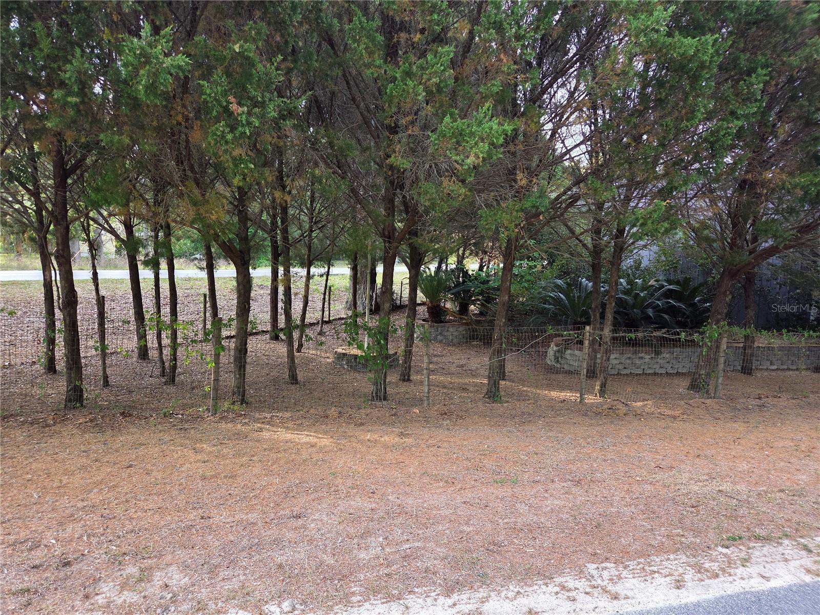 421 MARGARET ST, BRONSON, FL, 32621