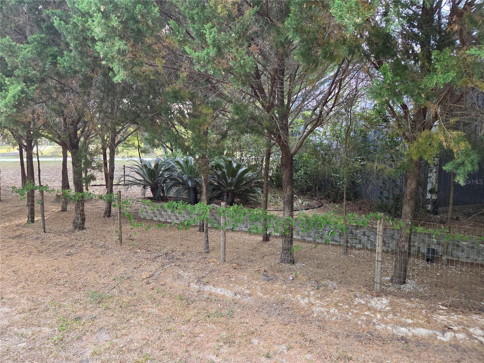 421 MARGARET ST, BRONSON, FL, 32621