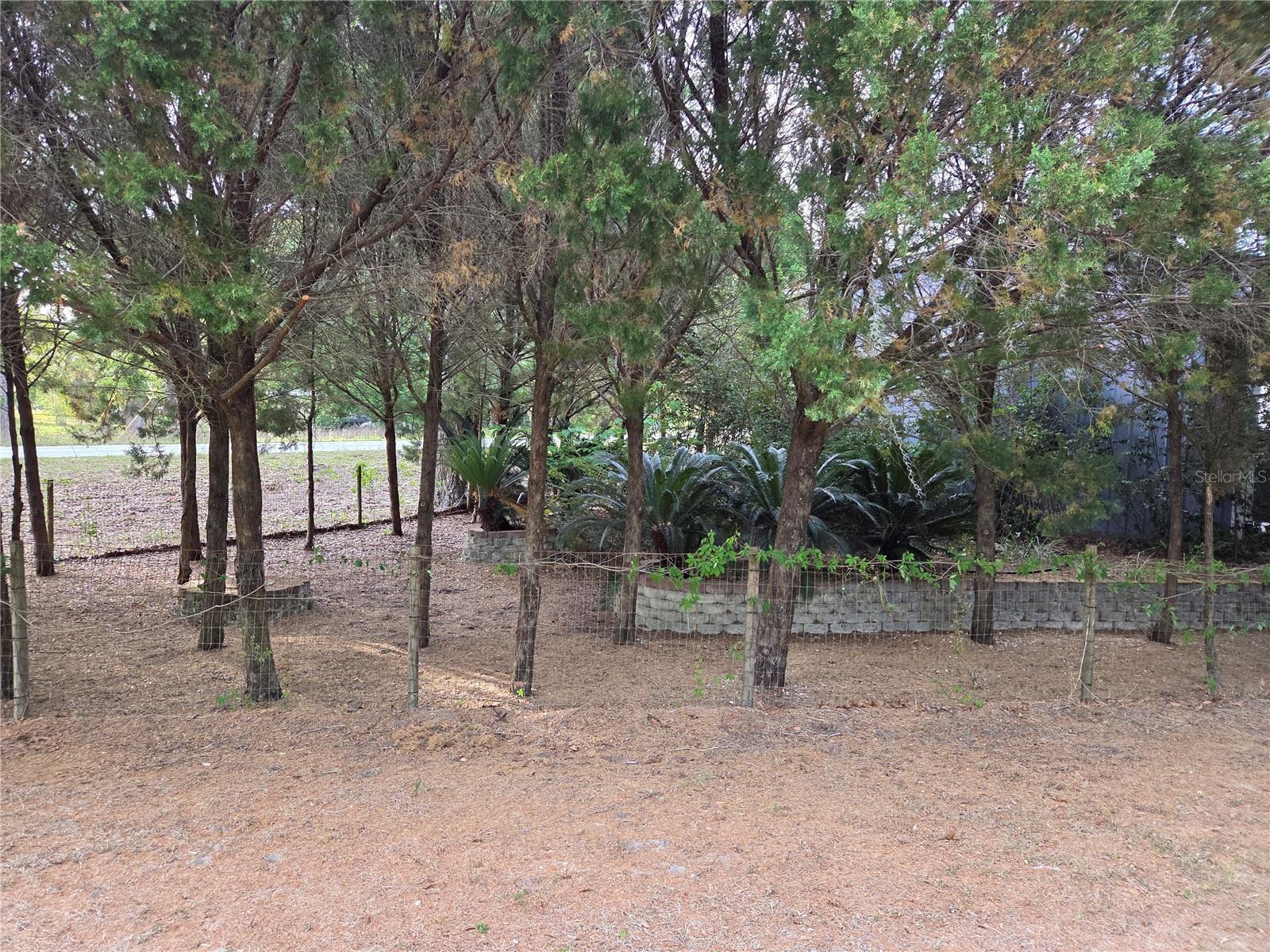 421 MARGARET ST, BRONSON, FL, 32621