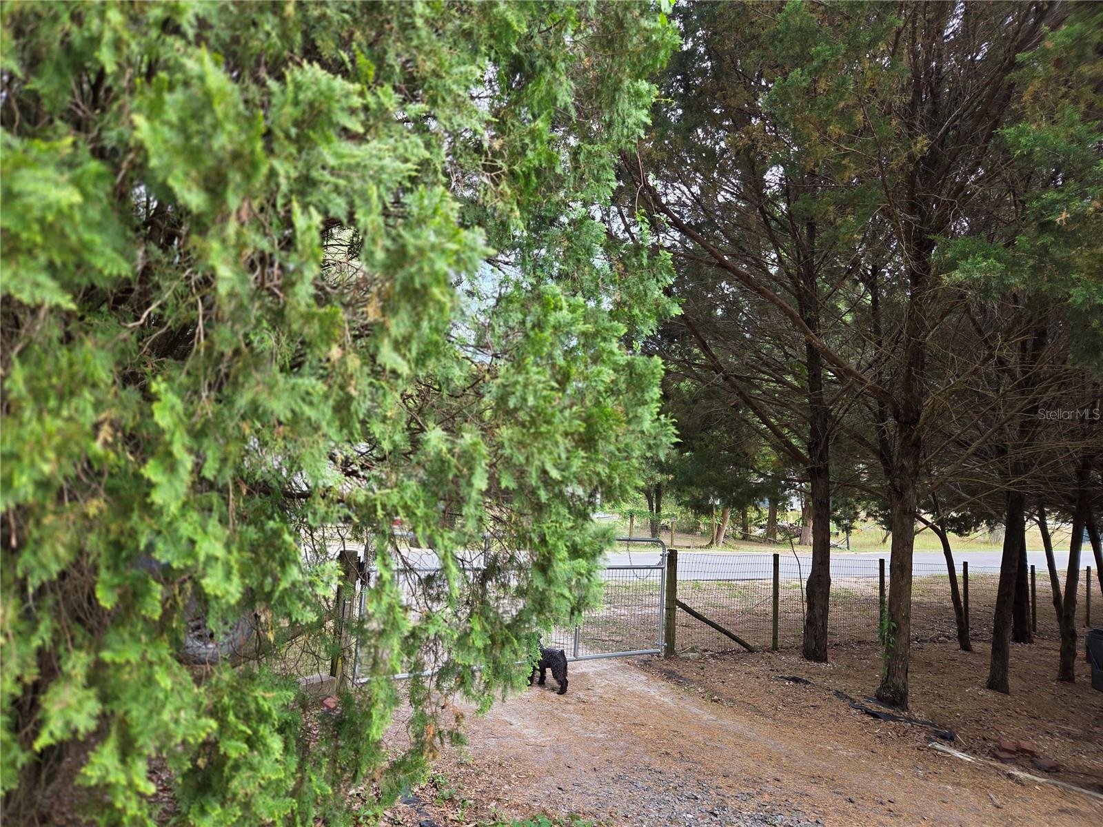 421 MARGARET ST, BRONSON, FL, 32621