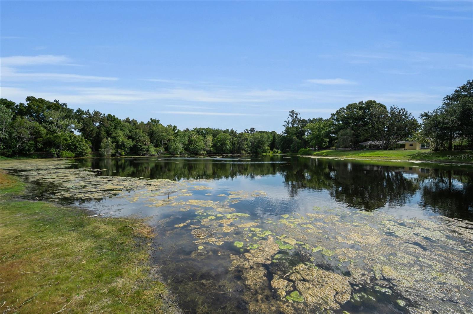 409 GRAHAM DR, CLEARWATER, FL, 33765