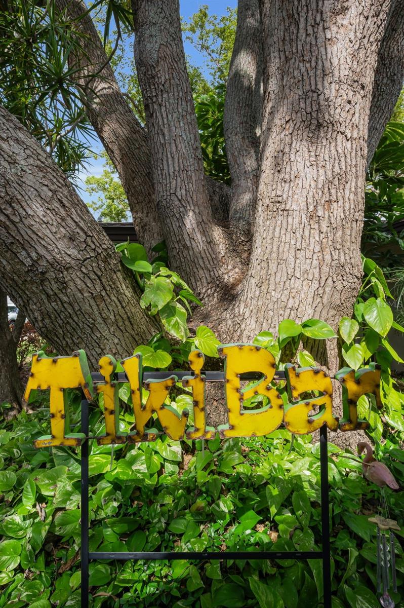 409 GRAHAM DR, CLEARWATER, FL, 33765