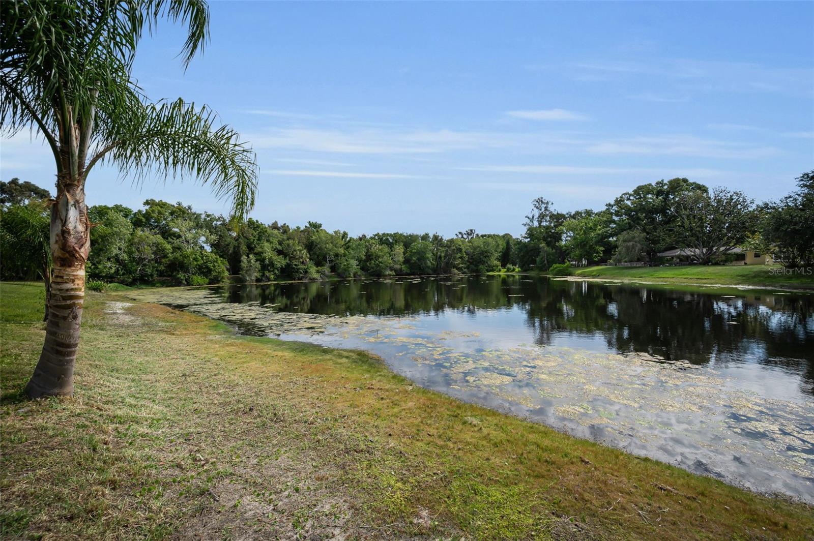 409 GRAHAM DR, CLEARWATER, FL, 33765