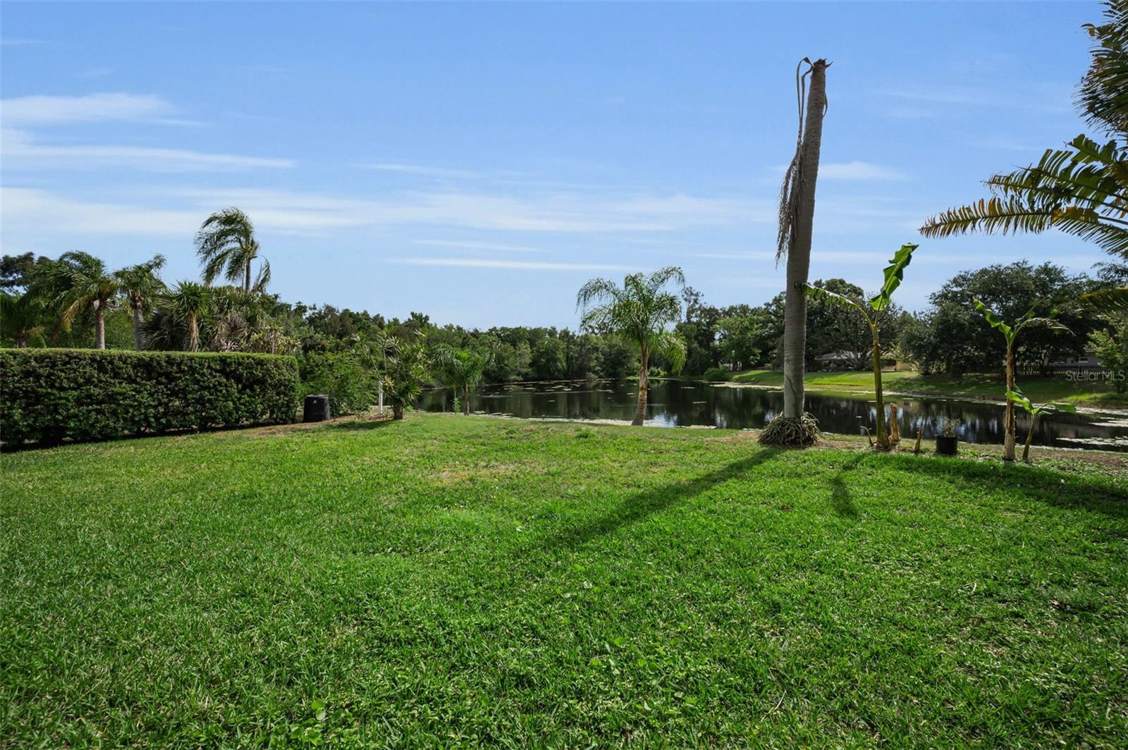 409 GRAHAM DR, CLEARWATER, FL, 33765