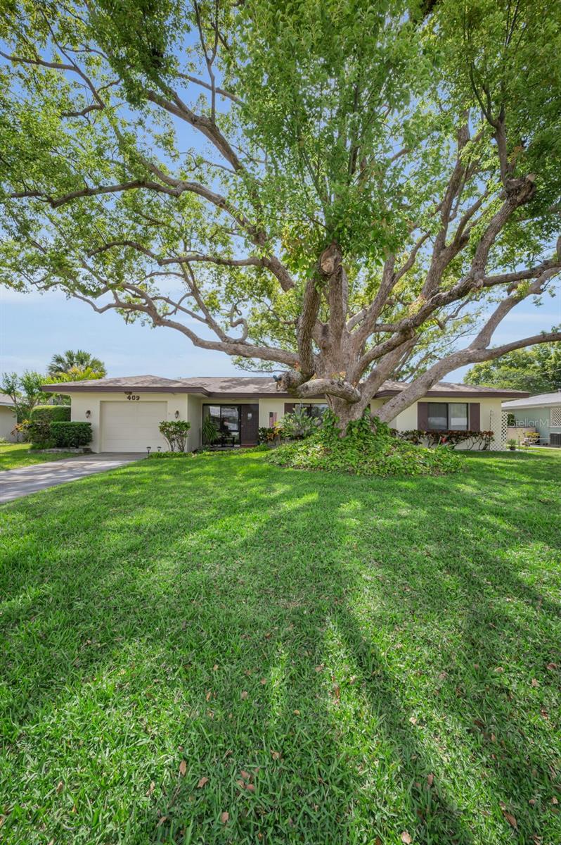 409 GRAHAM DR, CLEARWATER, FL, 33765