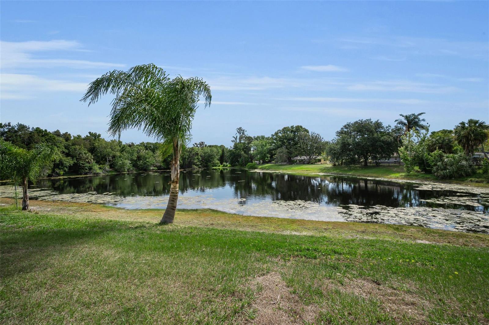 409 GRAHAM DR, CLEARWATER, FL, 33765