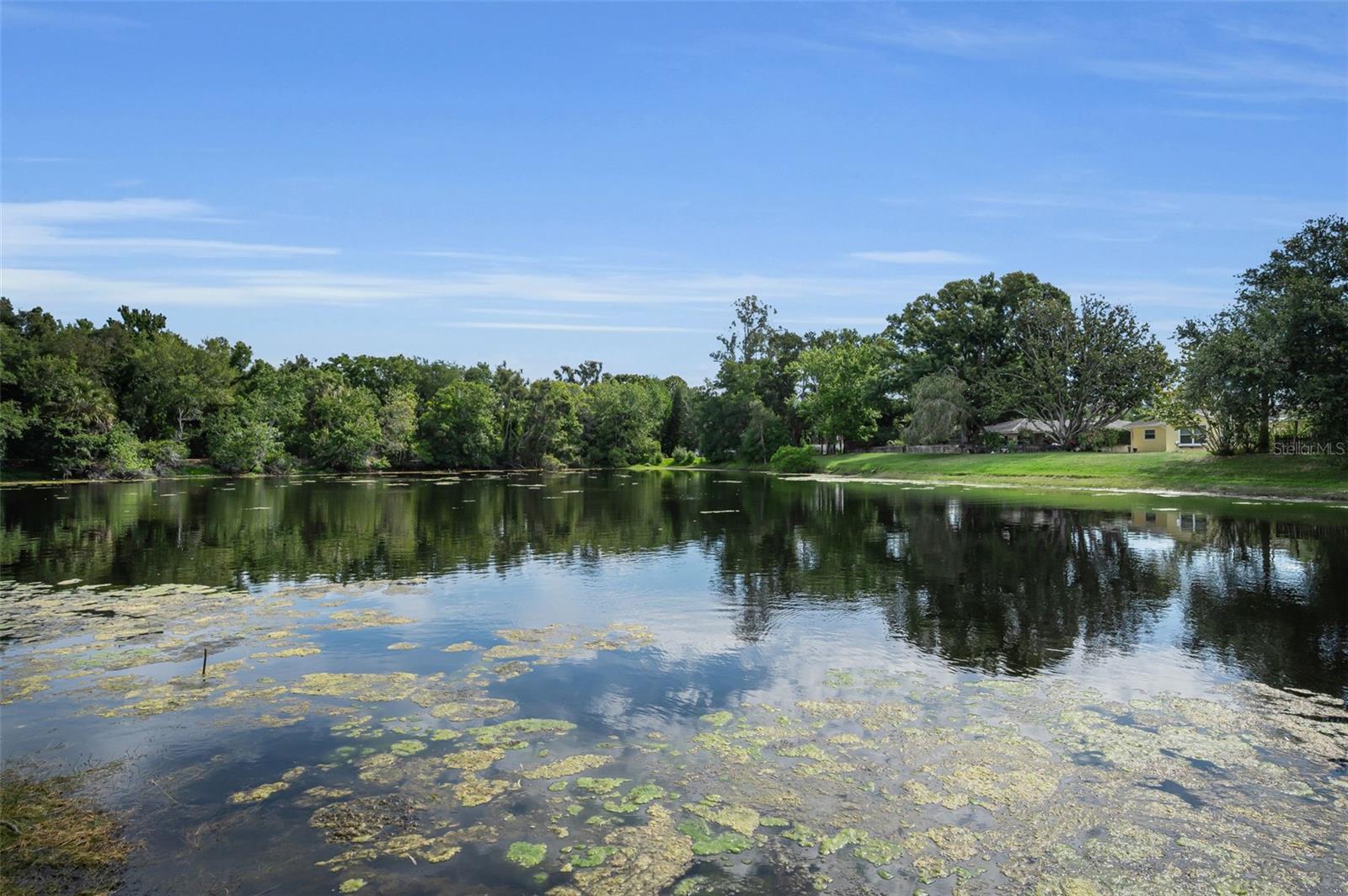 409 GRAHAM DR, CLEARWATER, FL, 33765