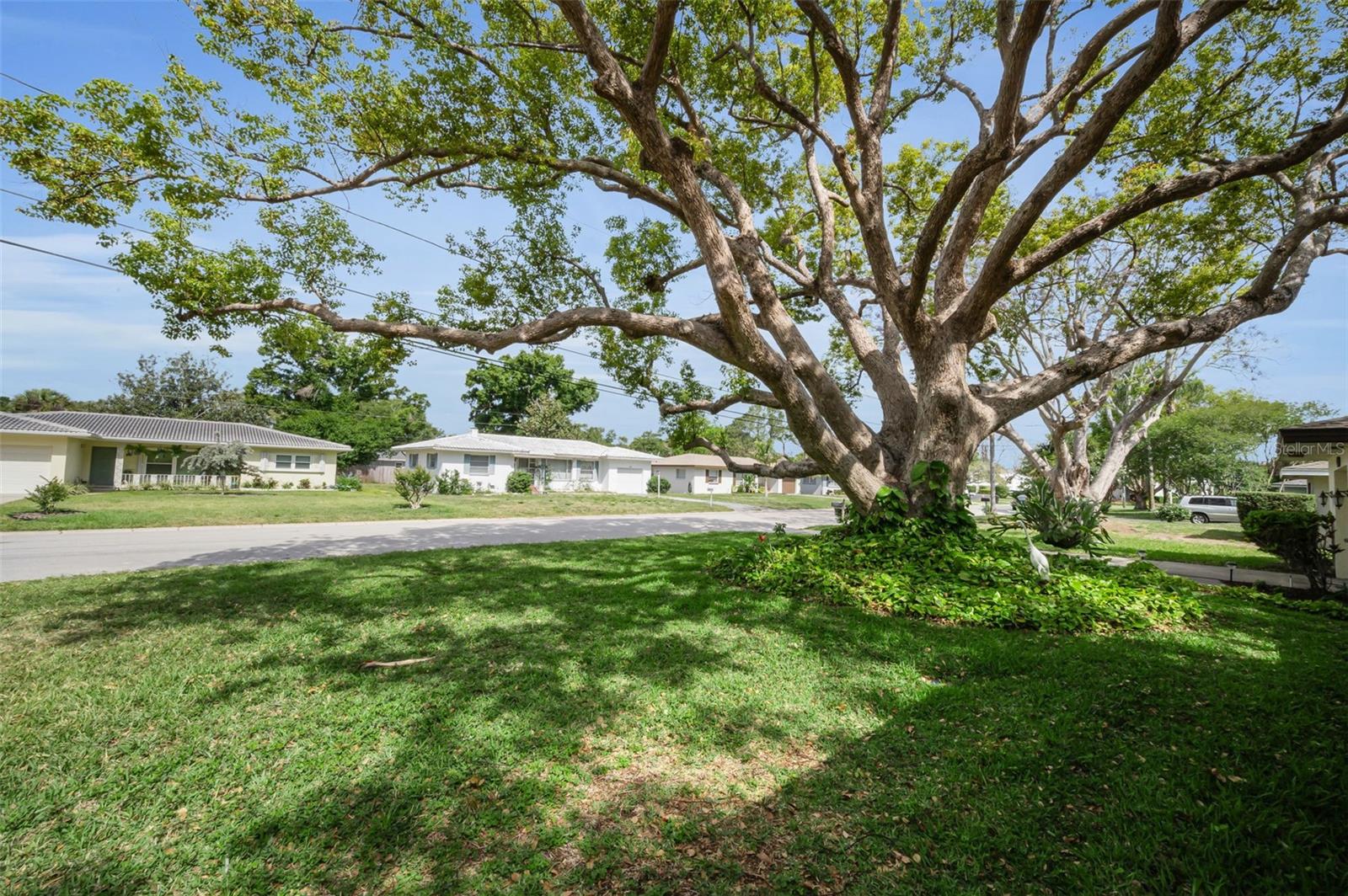 409 GRAHAM DR, CLEARWATER, FL, 33765