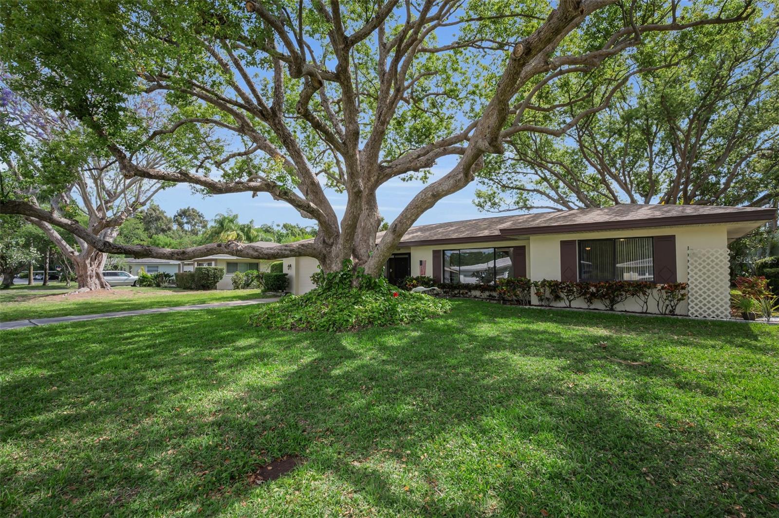 409 GRAHAM DR, CLEARWATER, FL, 33765