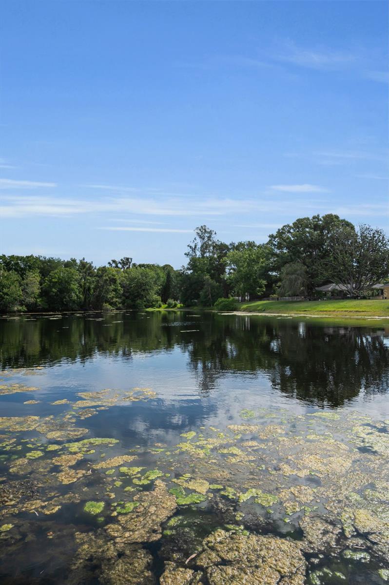 409 GRAHAM DR, CLEARWATER, FL, 33765