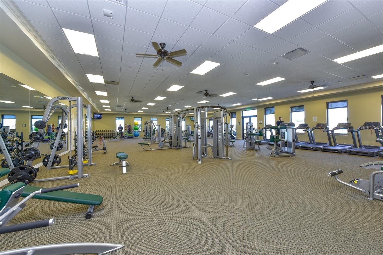 25060 SPARTINA DR, VENICE, FL, 34293