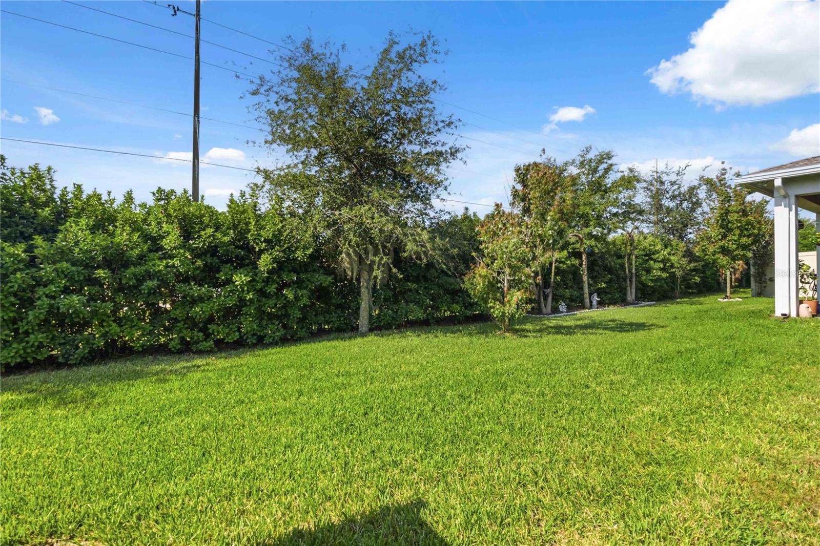 2305 DATURA LOOP, ST CLOUD, FL, 34772