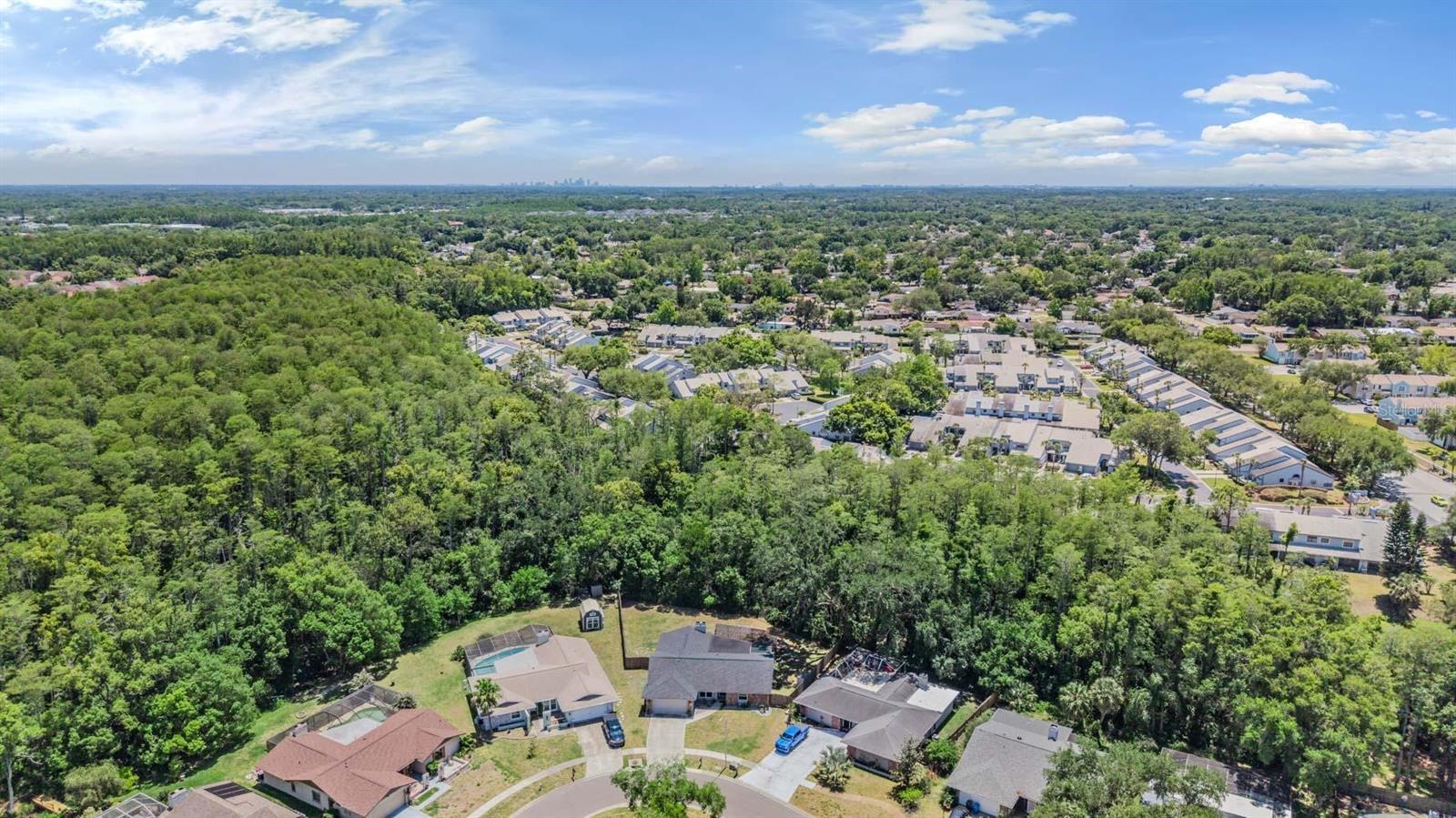 4218 SUMMERDALE DR, TAMPA, FL, 33624