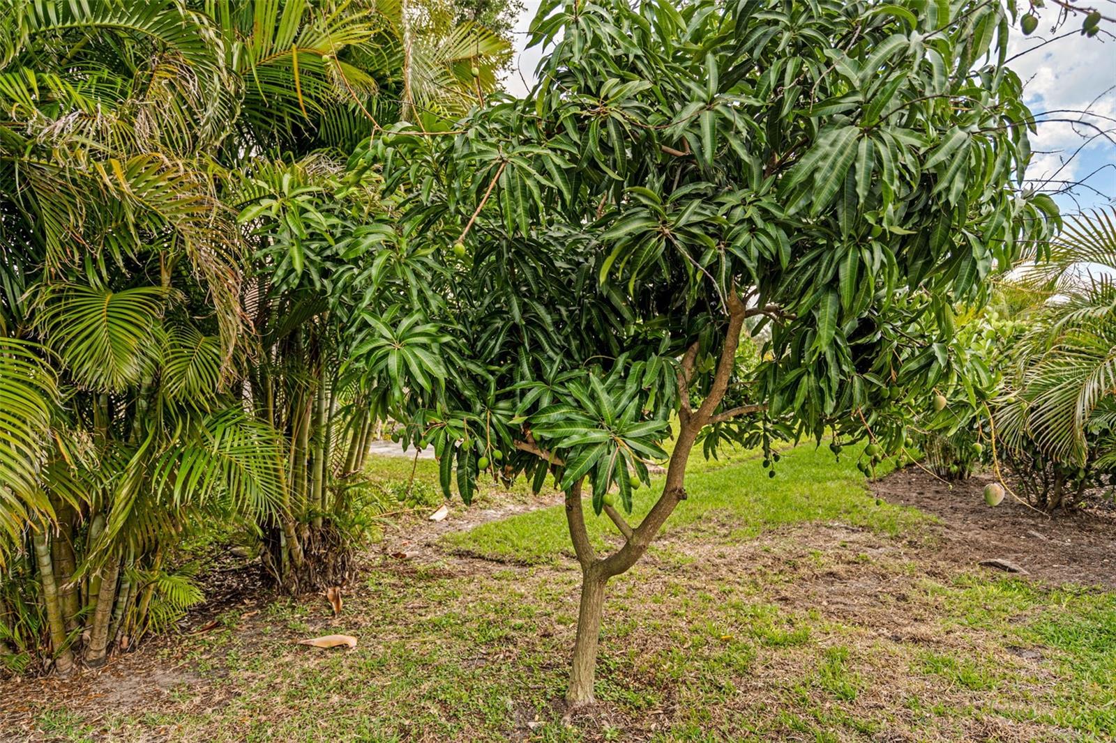 4042 WESTBOURNE CIR, SARASOTA, FL, 34238