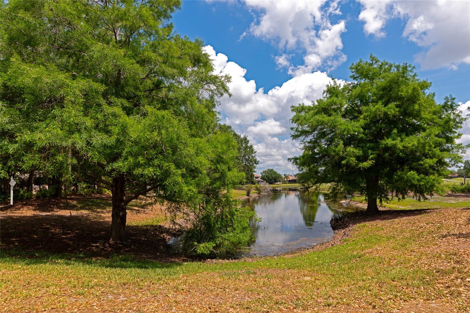13804 SIENA LOOP, LAKEWOOD RANCH, FL, 34202