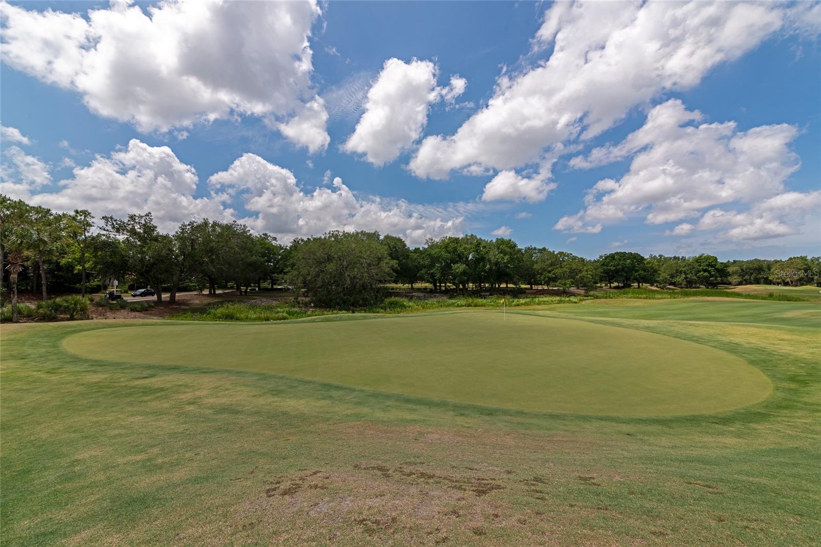 13804 SIENA LOOP, LAKEWOOD RANCH, FL, 34202