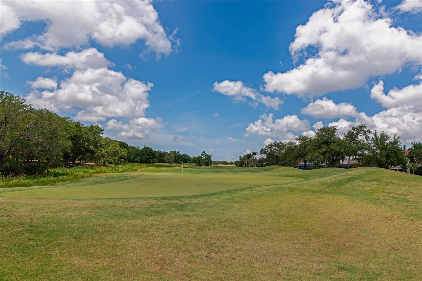 13804 SIENA LOOP, LAKEWOOD RANCH, FL, 34202